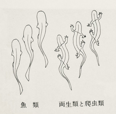 6F6D1EA0-3A8F-43BE-964A-2D768A8FC127