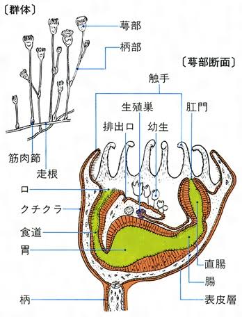 AFEFEB6B-4478-4437-96AA-7B0458C1BF39