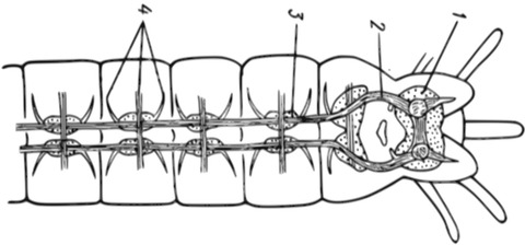 5DCA96DA-078B-41D1-894D-F6C6E13D242F