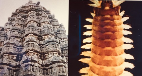 E7CC34BC-F3B6-41DD-A5DF-4C284C9D7E6A