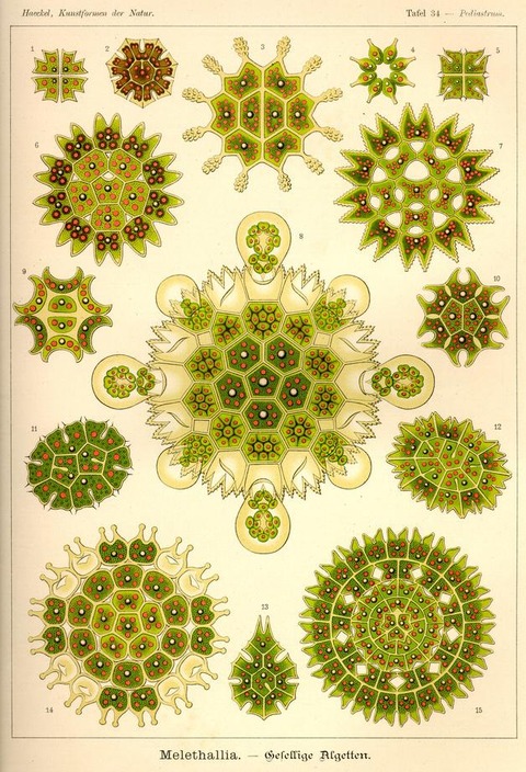 7E3610A5-B466-4DA3-8CED-15DDF26A4C63