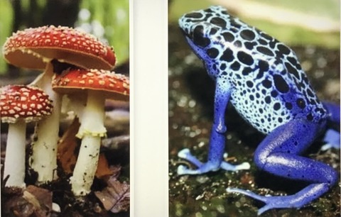 2A9BD22C-FBCE-4514-A8D6-D00CF6E86F75