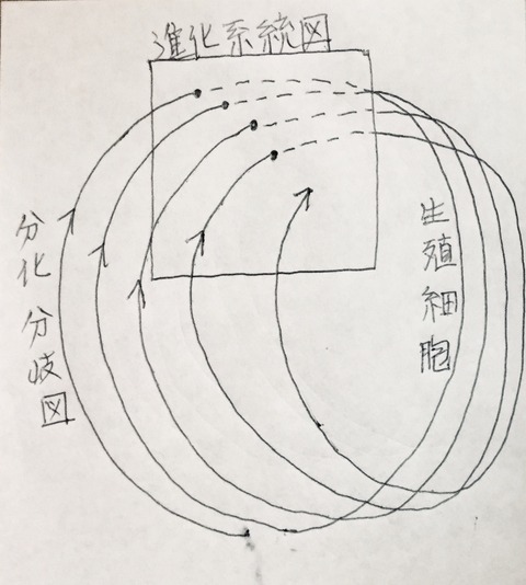 E2B18E21-CAE5-440D-B58E-DBB311368C1E