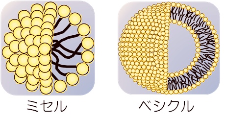 8DE8E50F-D6B3-431D-BA9E-F3A77C25AA34