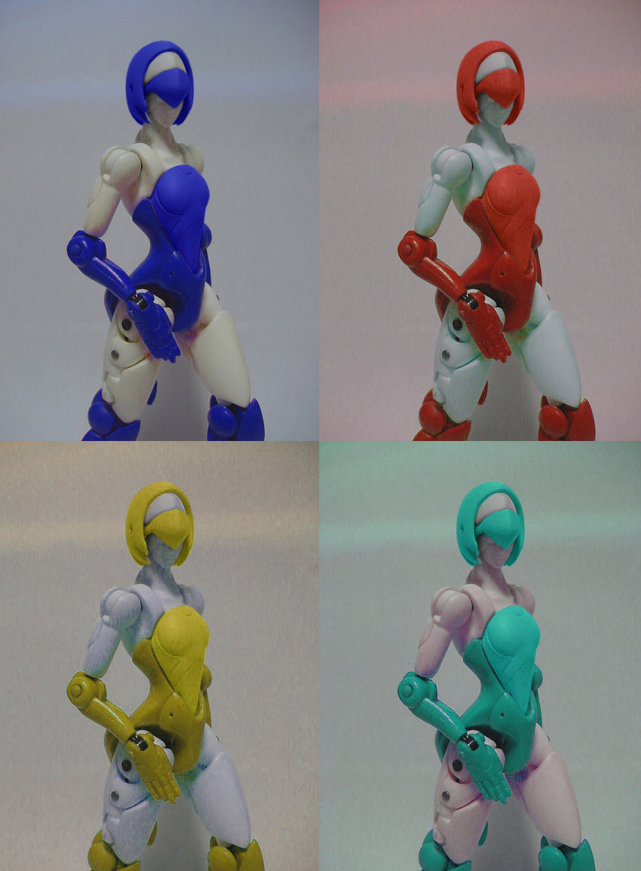 レディローゼス再始動 バジルの造形魂