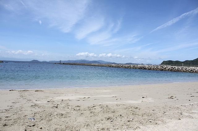 夏の思い出 淡路島で遊んできたじょヾ ﾉ後編 ガジルとちゃいます バジルでしゅっ ミンちゃんもヨロチクでちゅ