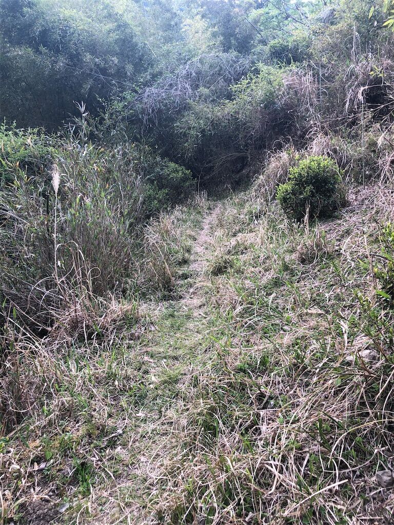 f:id:Baskerville:20200504194426j:image