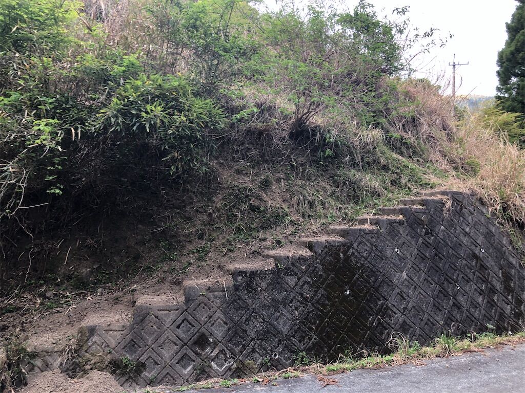 f:id:Baskerville:20200504194325j:image