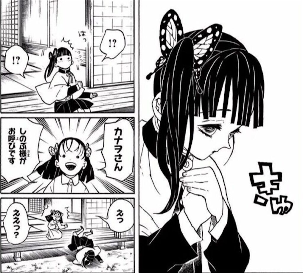 栗花落カナヲは炭治郎のことが好きだ 鬼滅の刃 隠れオタク黙示録 栗花落カナヲは炭治郎のことが好きだ 鬼滅の刃 隠れオタク黙示録