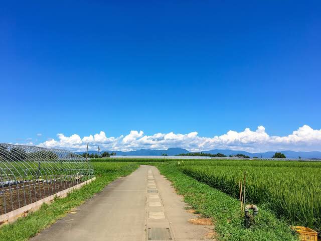 馬鹿 田舎に棲みてえ 俺 ンハッ 鼻で笑う音 緋アリ速報 緋弾のアリアまとめ 馬鹿 田舎に棲みてえ 俺 ンハッ 鼻で笑う音 緋アリ速報 緋弾のアリアまとめ