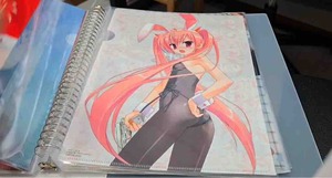 aria the scarlet ammo