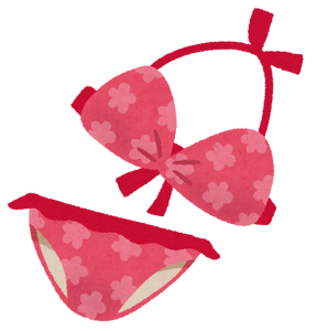 aria the scarlet ammo