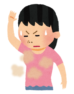 aria the scarlet ammo