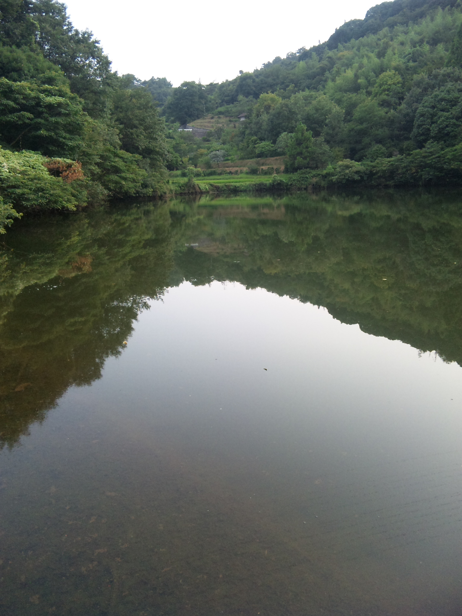 8 22 松永野池 ３０cm バス釣り日記