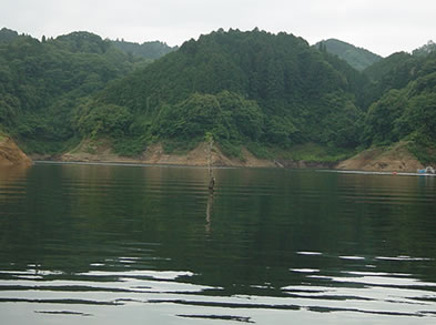 高山ダム ゴロウのバス釣りブログ
