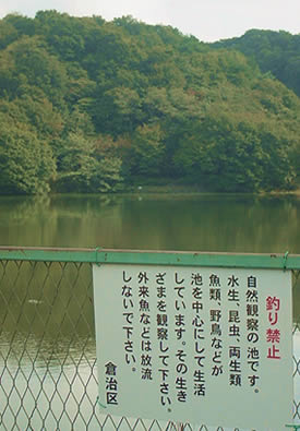 野池を散策したものの ゴロウのバス釣りブログ