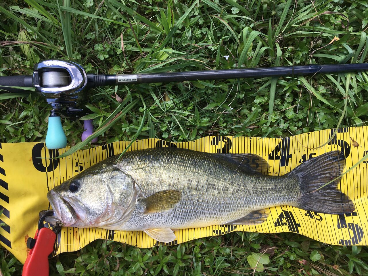 京都山科の釣具屋バスフィールド 21年07月19日