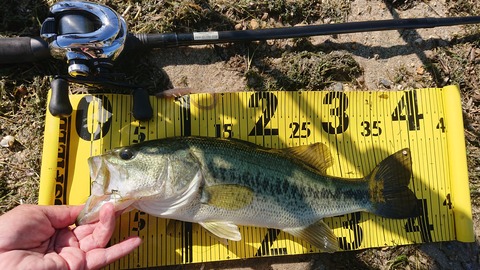 京都山科の釣具屋バスフィールド 19年10月