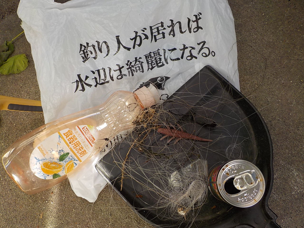 まだボーズです 京都山科の釣具屋バスフィールド