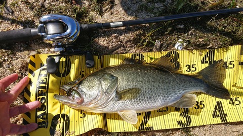 京都山科の釣具屋バスフィールド 19年10月