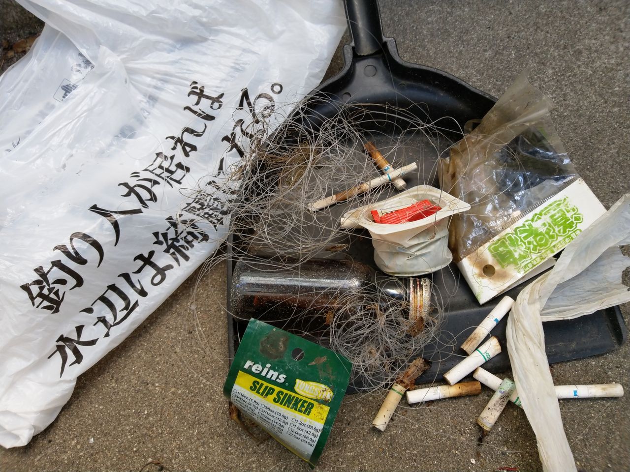 久々にツレチョビレた エビシャ３ 京都山科の釣具屋バスフィールド