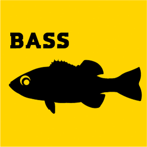 画像 バス釣りのかっこいい画像を下さい バス釣り Basser速報 バス釣り情報配信サイト