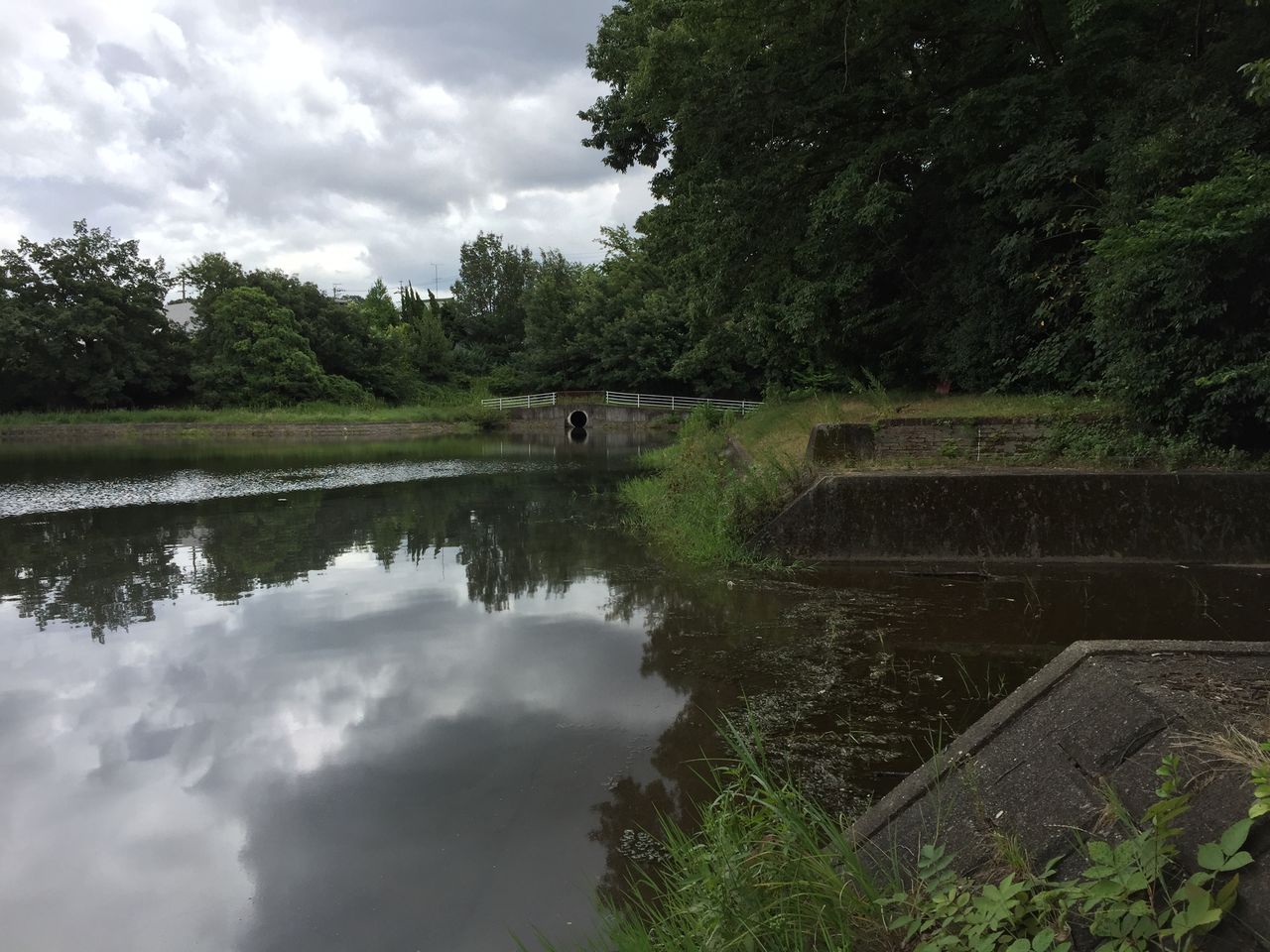17 8 5 日 愛知県野池7戦目 釣れません 下剋上 大江川バス釣り釣行記