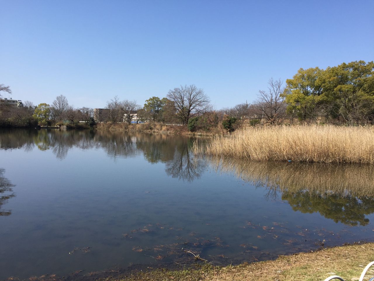 17 4 2 日 愛知県野池4戦目 新池に着ましたが釣れません 下剋上 大江川バス釣り釣行記