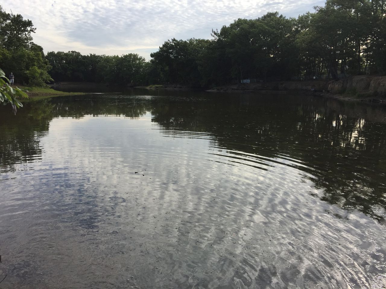 17 6 8 9 木 金 尾張地方河川4 5戦目 ランカーナマズ 捕獲 6 9 金 愛知県野池6戦目 懐かしの小幡緑地 下剋上 大江川バス釣り釣行記