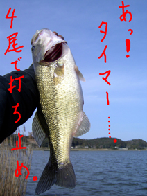 yamagata_003