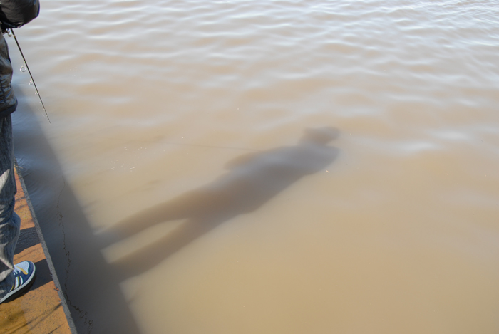 ¤½¤Î£±
