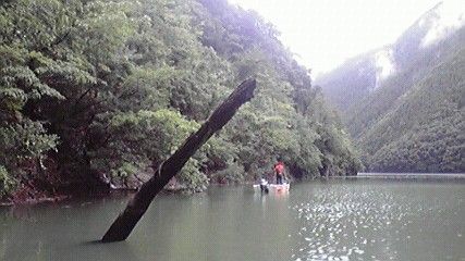 2011080212540000