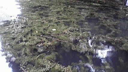 2011073115340000