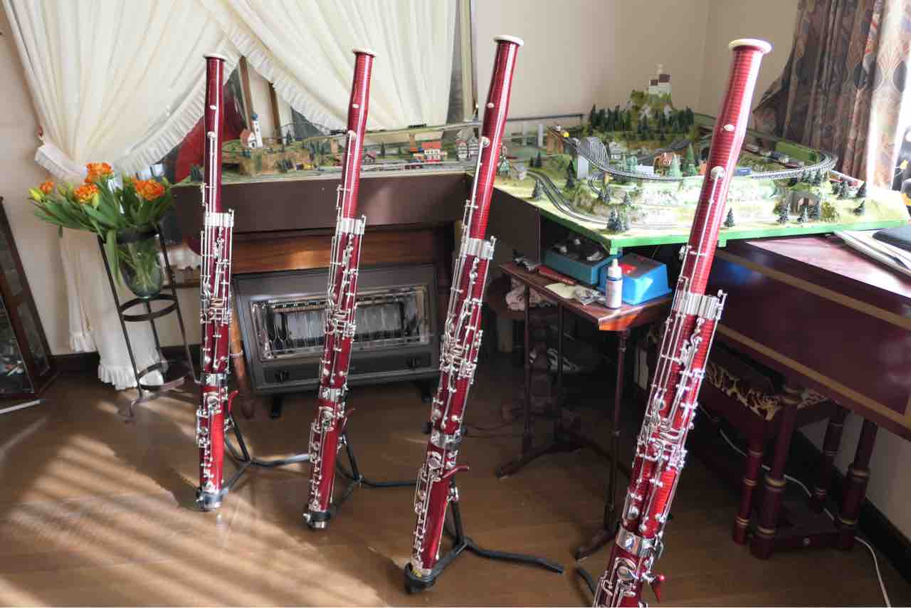 タケダバスーン モデル2 シンフォニー タケダバスーン モデル2