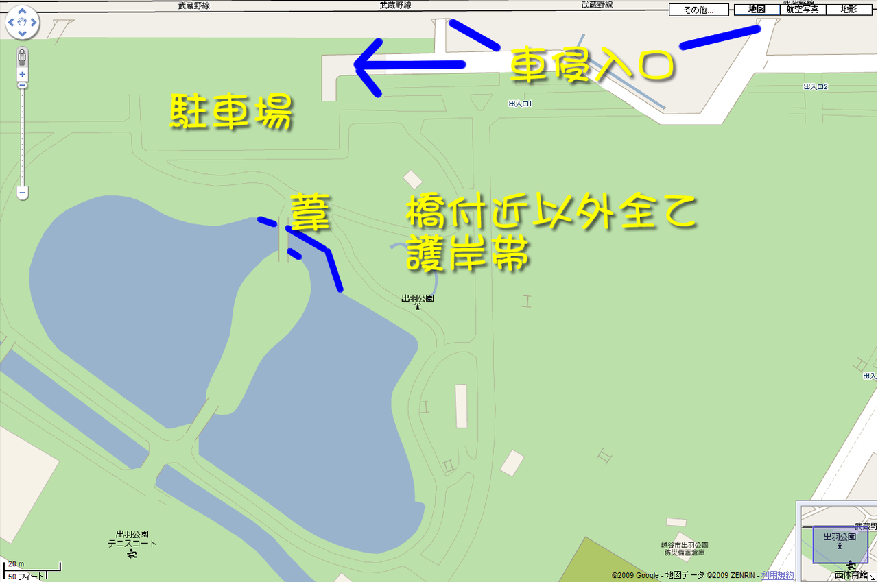 越谷 出羽公園 出羽沼 埼玉県バス釣り ポイント紹介ブログ