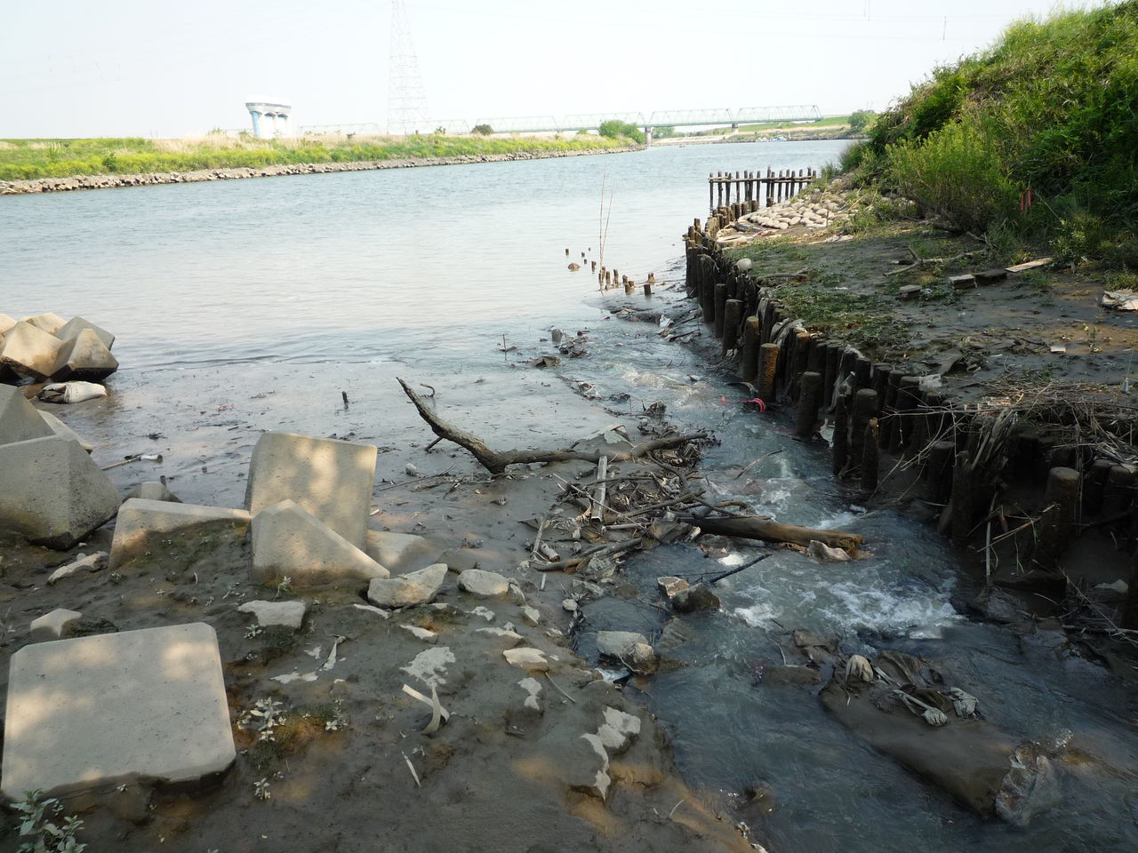 秋ヶ瀬取水堰 荒川 ポイント紹介 埼玉県バス釣り ポイント紹介ブログ 秋ヶ瀬取水堰 荒川 ポイント紹介 埼玉県バス釣り ポイント紹介ブログ
