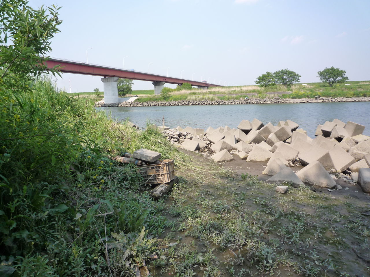 秋ヶ瀬取水堰 荒川 ポイント紹介 埼玉県バス釣り ポイント紹介ブログ 秋ヶ瀬取水堰 荒川 ポイント紹介 埼玉県バス釣り ポイント紹介ブログ