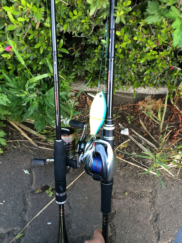 ポイズンアドレナ2本セット 旧ポイズンアドレナ 2本セット