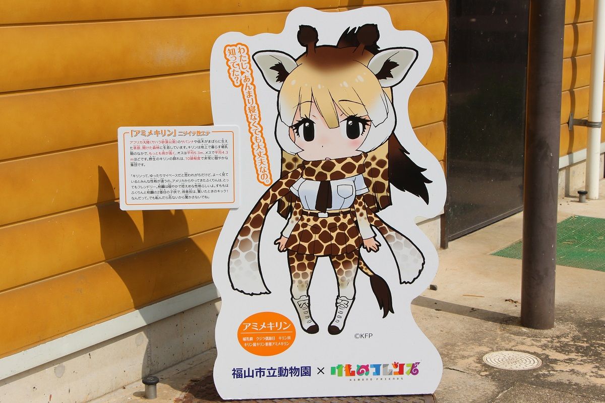 広島遠征18 8 けもフレコラボ福山動物園 18 8 12 ばたぬの撮影記録