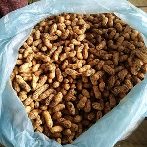 37783613_2099149820297218_8765909795937976320_n