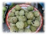 Sugar Apple