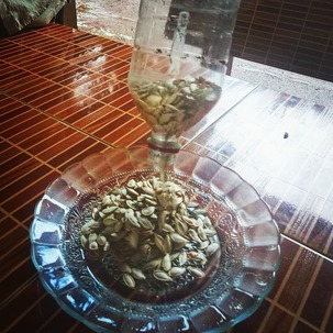 IMG_20181021_074516_758