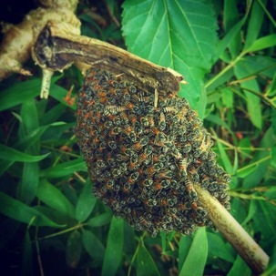 IMG_20181031_181436_356