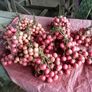 37742685_2099149983630535_6211312885214216192_n