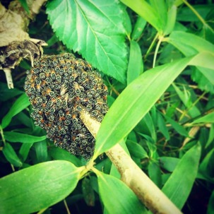 IMG_20181031_181436_354