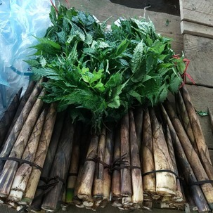 37705642_2099149850297215_5284545421903921152_n