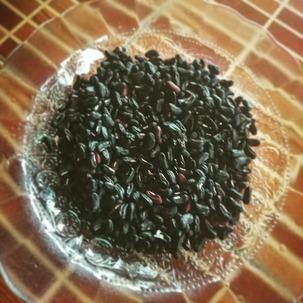 IMG_20181021_074516_759