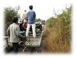 Bamboo Train