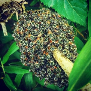 IMG_20181031_181436_348