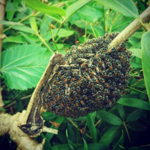 IMG_20181031_181436_349